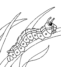 Caterpillar On A Leaf Clipart   Animalgals