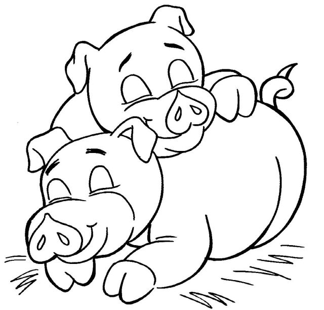 My Pig Clipart   Page 3
