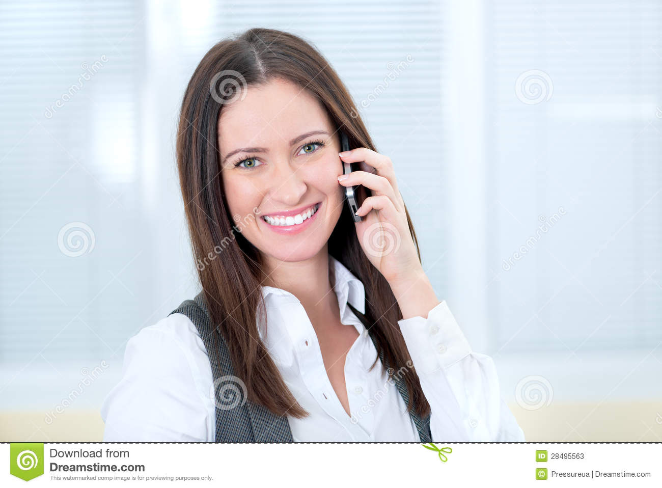 Smiling Business Lady With Mobile Phone Stock Photos   Image  28495563