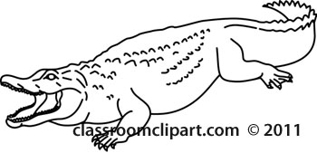 Animals   Aligator 2012 3 Outline   Classroom Clipart