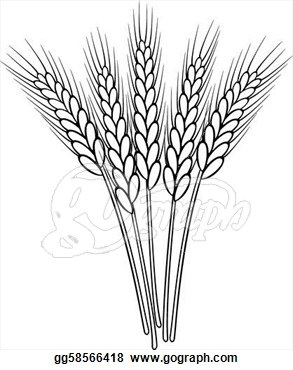 Of Vector Black And White Wheat Ears  Eps Clipart Gg58566418   Gograph