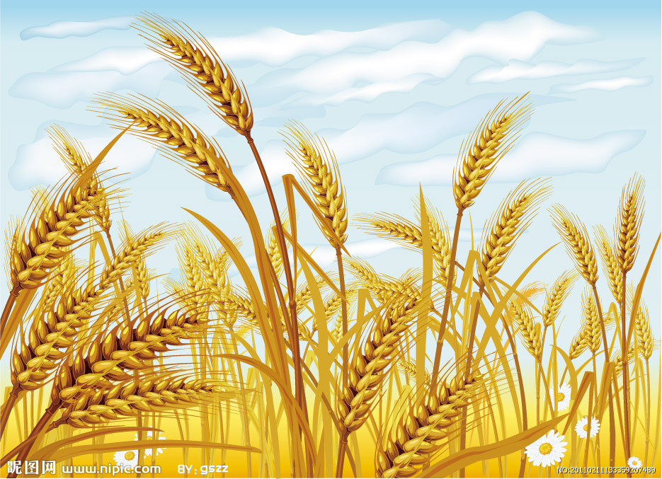 Wheat Clip Art Free Download