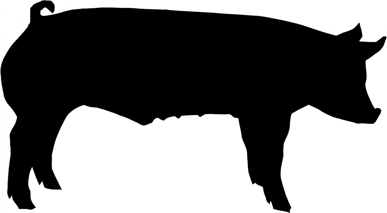 12 Show Pig Silhouette Free Cliparts That You Can Download To You    