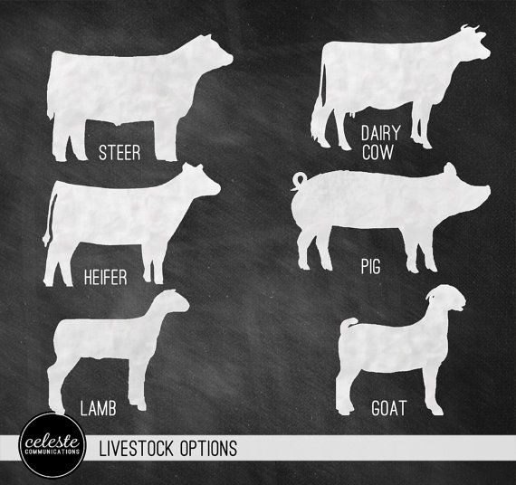 Livestock Show Chalkboard Inspired Metal Sign Wall By Celestecomm  30    