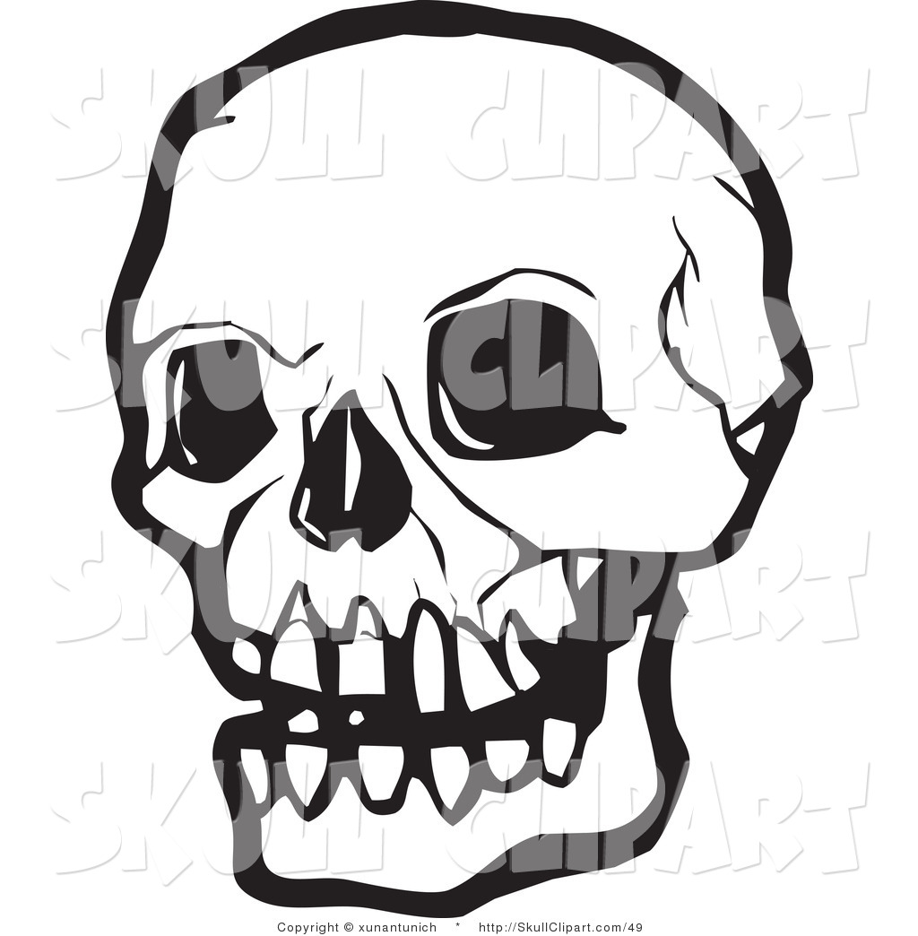 Vector Clip Art Of A Black And White Human Skull With Dark Eye Sockets