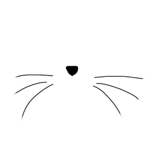 Perfect    Cats Illustrations   Pinterest   Cat Whiskers Cats And