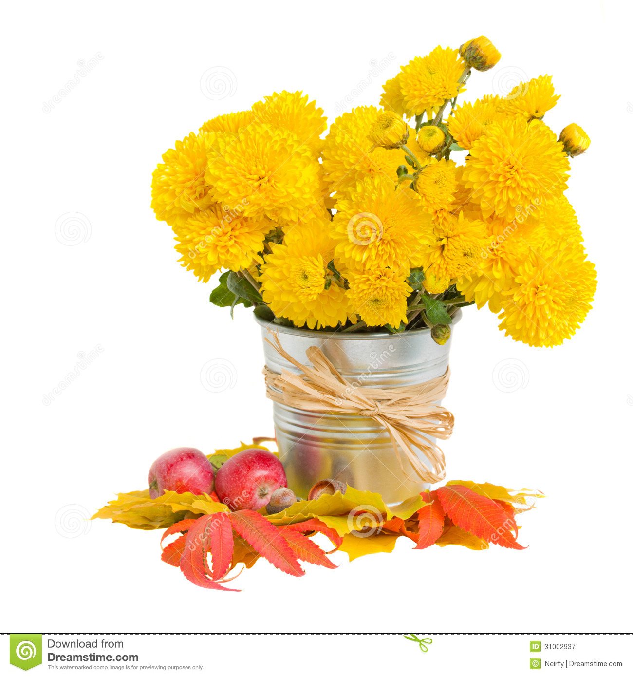 Bouquet Of Yellow Mums In Pot Royalty Free Stock Photography   Image
