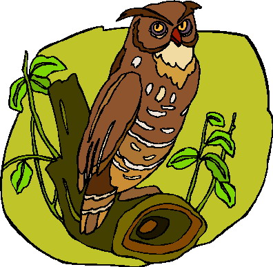 Clip Art   Clip Art Owls 040947