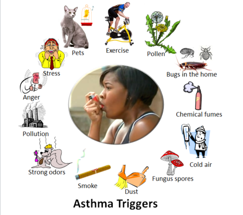 These Are Some Of The Things That May Make A Person S Asthma Worse And    