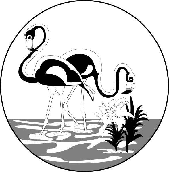 Black And White Flamingos Clip Art At Clker Com   Vector Clip Art