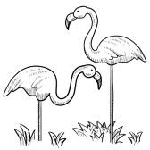 Flamingo Clip Art Black And White   Google Search