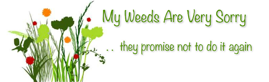 Garden Weed Clip Art My Weeds Are Very Sorry