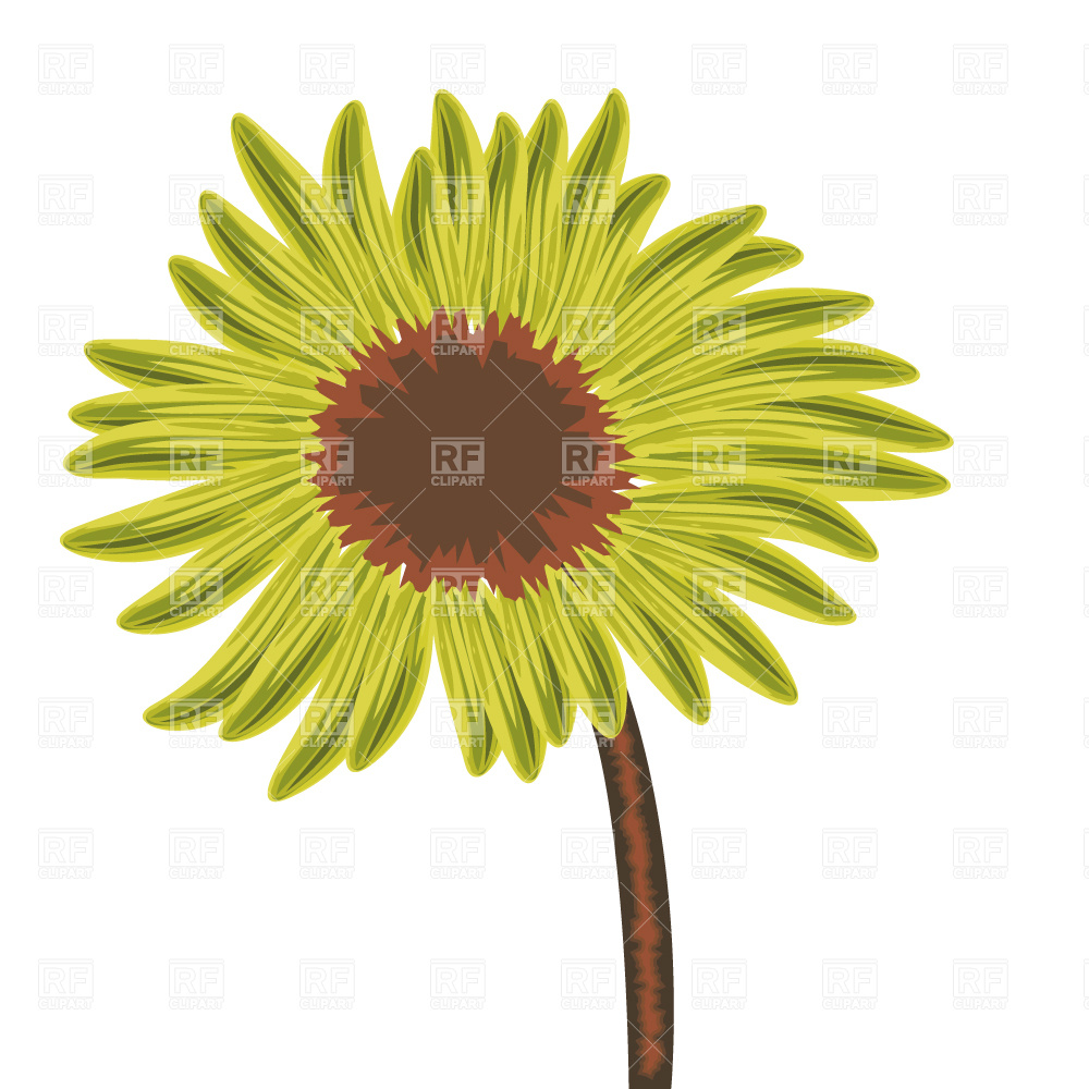 Yellow Flower Plants And Animals Download Royalty Free Vector Clip