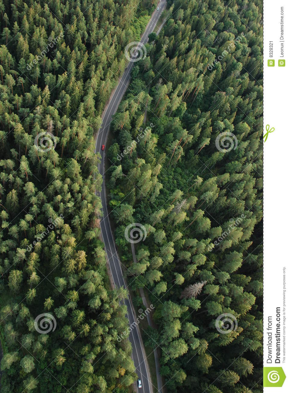More Similar Stock Images Of   Forest From The Birdseye View
