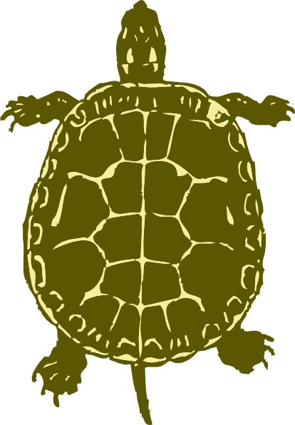 Turtle Art Clip Art  Png And Svg