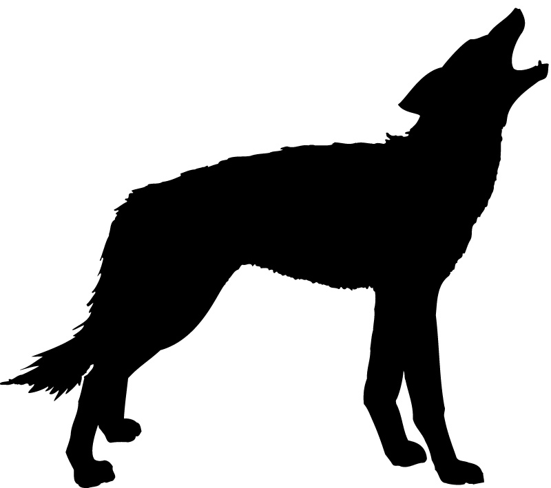 Silhouette Wolf Jungle Animals Wall Stickers Wall Art Decals Transfers