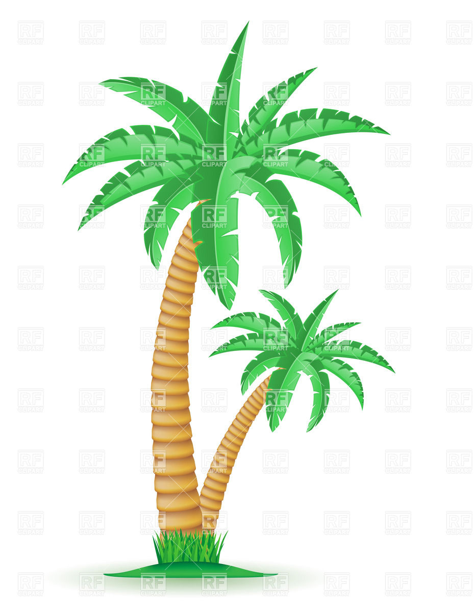 Tropical Palm Trees Download Royalty Free Vector Clipart  Eps 