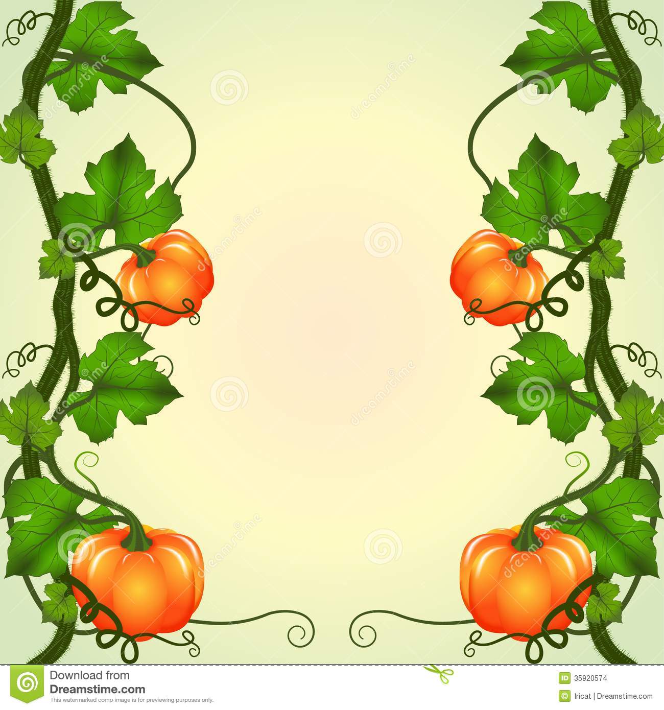 Pumpkin Vines Clipart Frame Of Pumpkins Stock Images