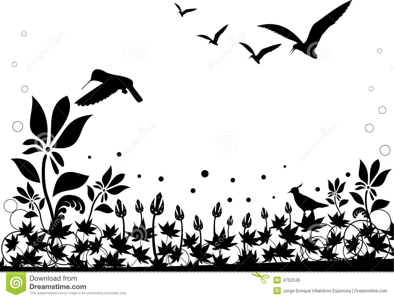 Black And White Nature Vector Royalty Free Stock Photo   Image