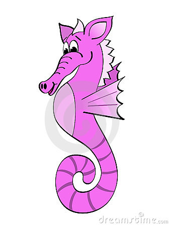 Purple Cartoon Seahorse Royalty Free Stock Photography   Image