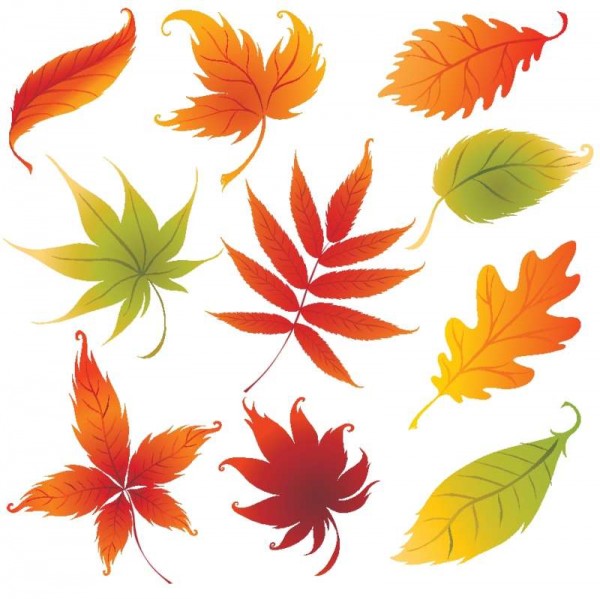 Nine Colorful Leaves   Vector Free   Free Vector Graphics Designs