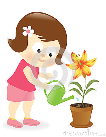 Girl Watering Lily Flower Stock Photos   Image  30331973