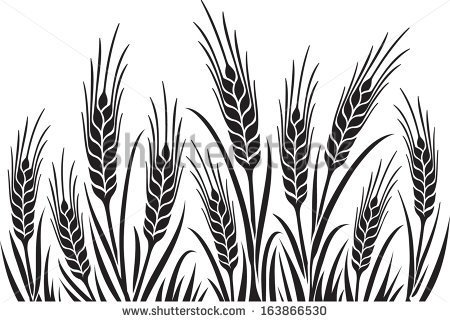 Grains Clipart Black And White Of Wheat Barley Or