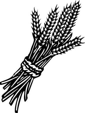 Stock Illustration   Wheat Black And White