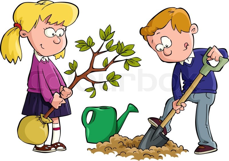 Stock Image Of  Planting A Tree