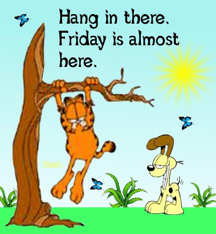 Hang In There It S Almost Friday Pictures Photos And Images For