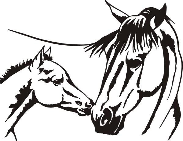 10 Quarter Horse Face Silhouette Free Cliparts That You Can Download