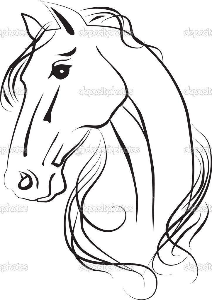 Horses Head Drawings Art Horse Head Drawings Of Horses Horses