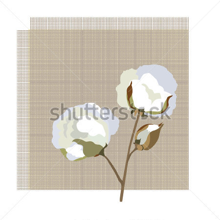 Cotton Fabric Icon With Cotton Jpg