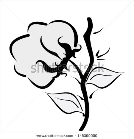 Cotton Field Clipart Stylized Cotton Icon In Vector