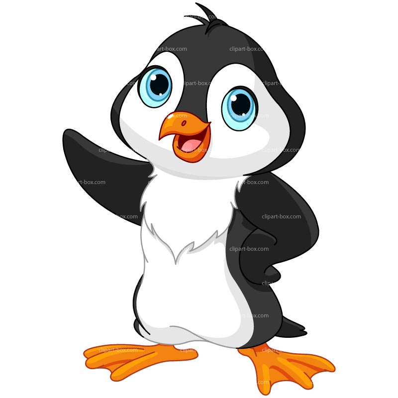 Clipart Penguin   Royalty Free Vector Design