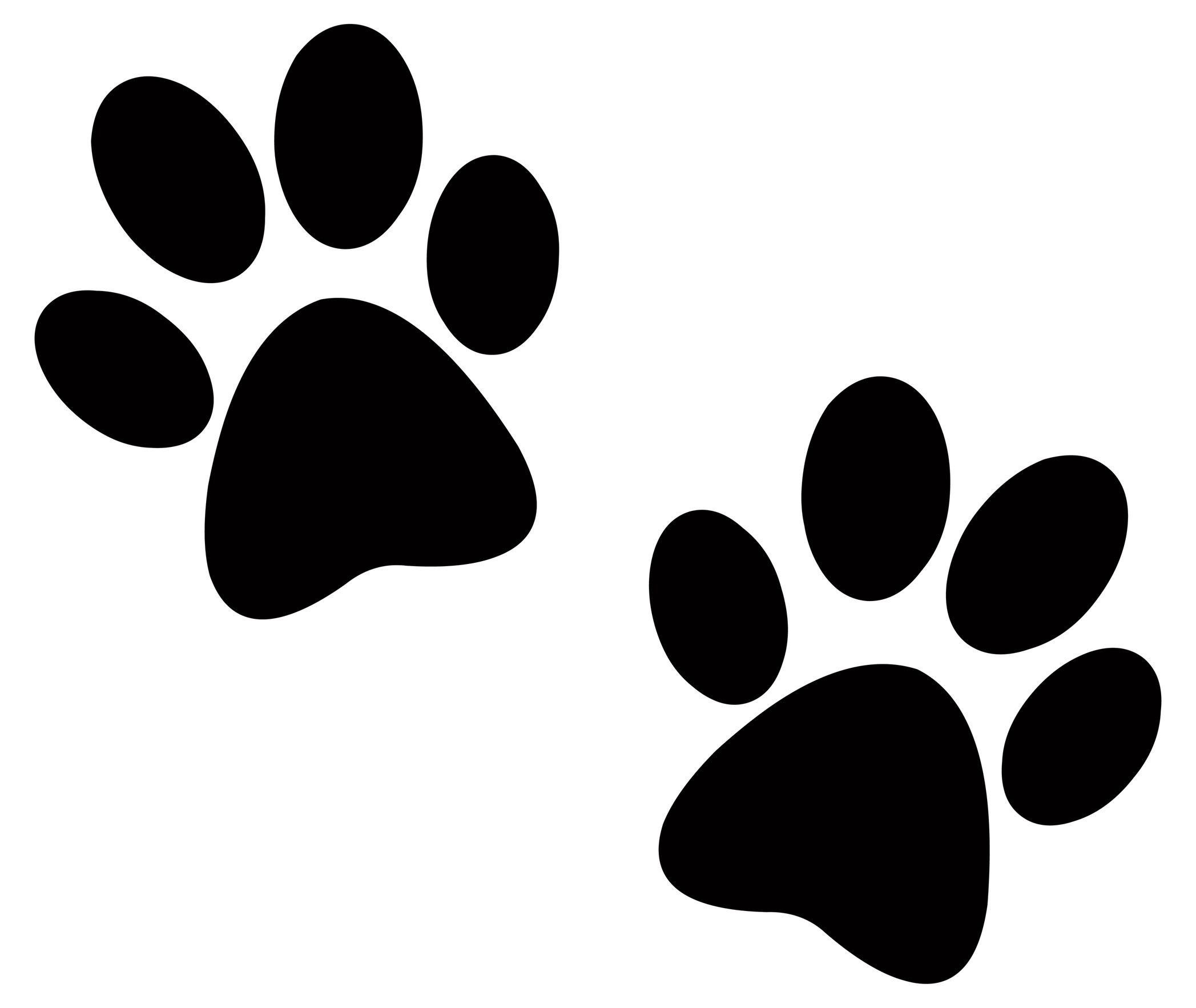 32 Pictures Of Paw Prints   Free Cliparts That You Can Download To You