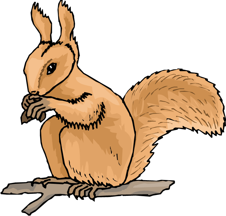 Animated Squirrel Clipart Free Squirrel Clipart