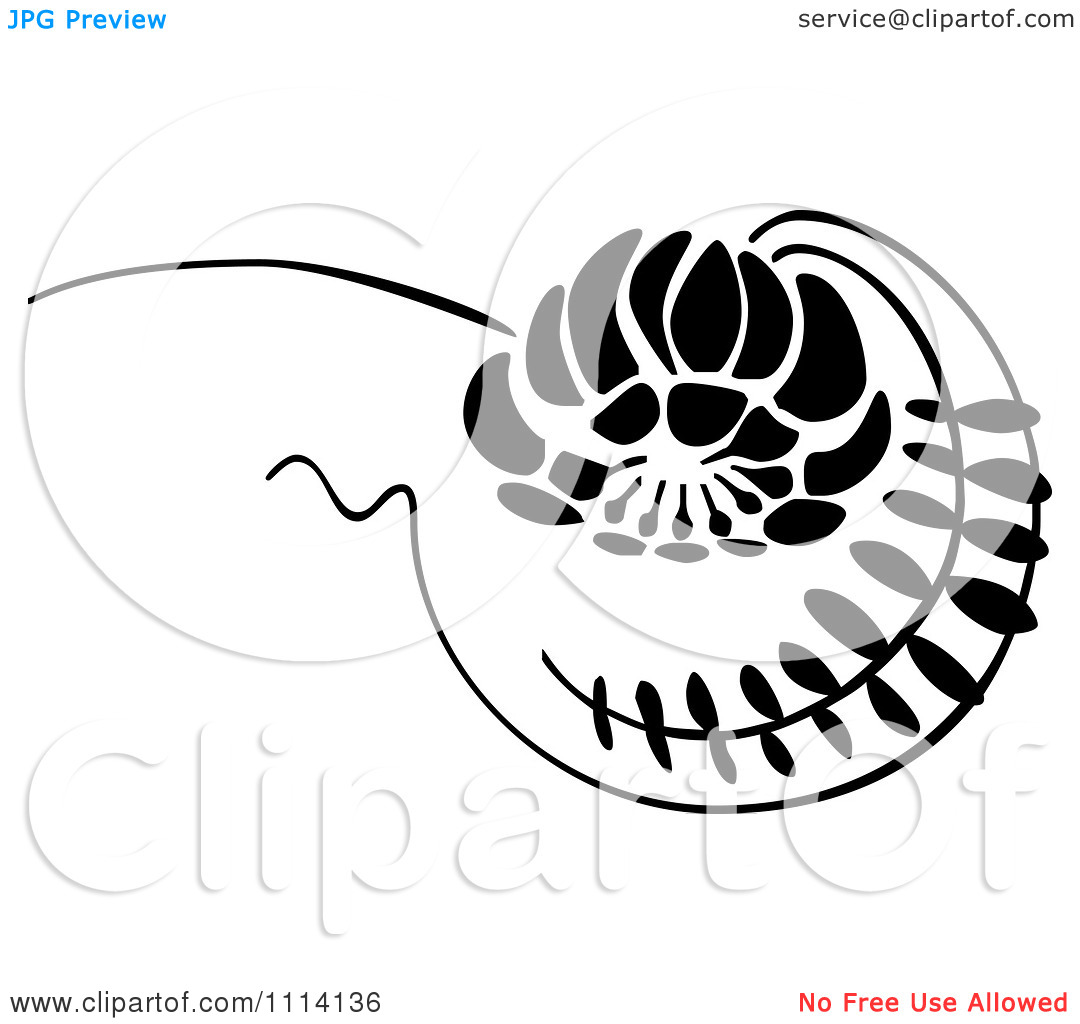 Clipart Black And White Floral Vine Scroll   Royalty Free Vector