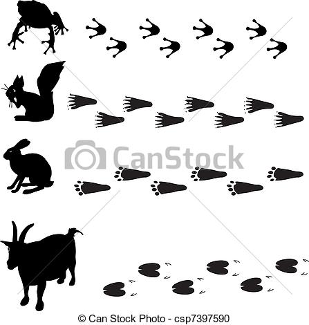 Squirrel Tracks Clip Art Animals And Their Tracks  