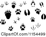 Squirrel Tracks Clip Art Clipart Of Silhouetted Animal