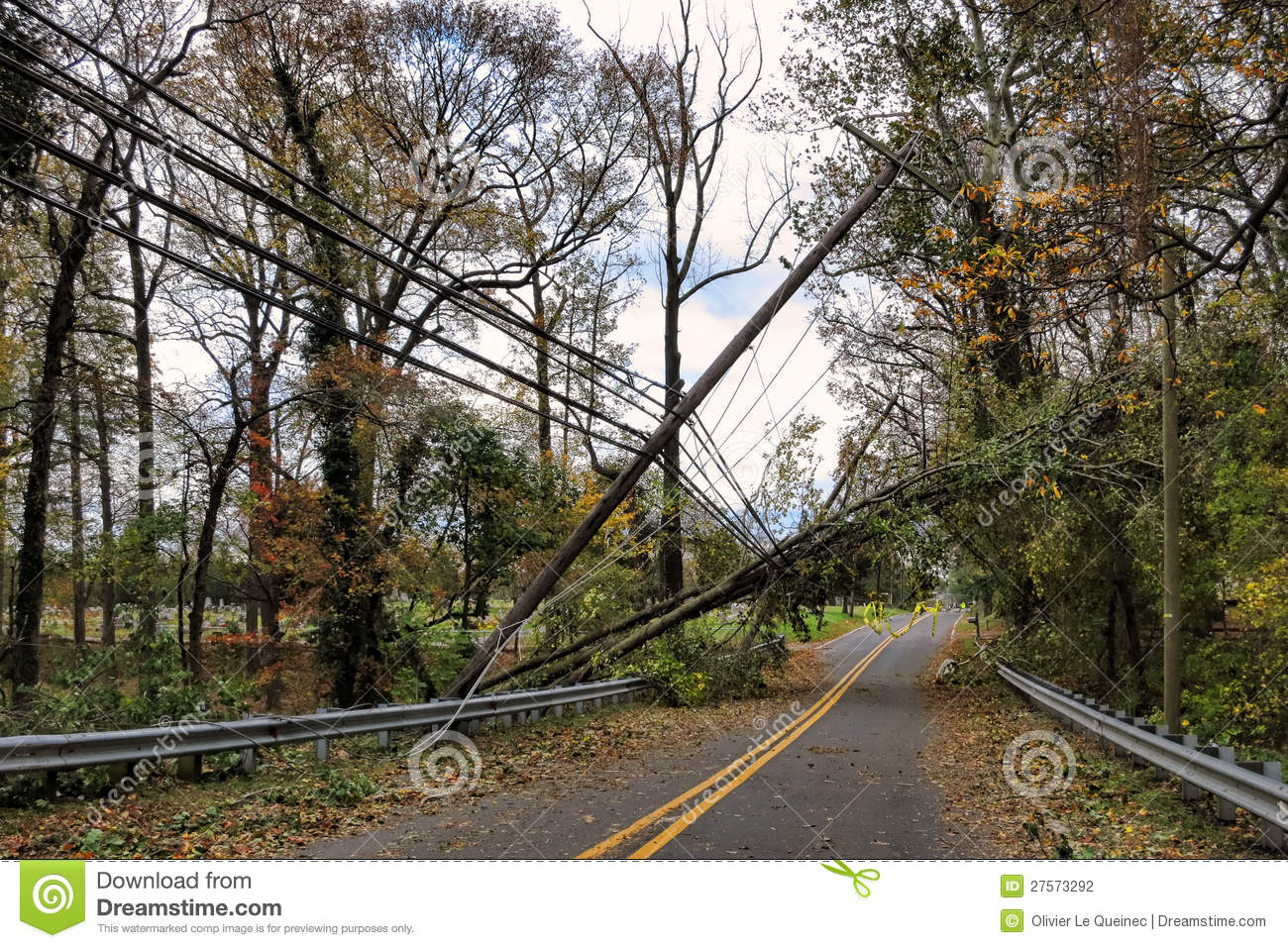 Utility Power Line And Pole Toppled By Fallen Tree Stock Photography