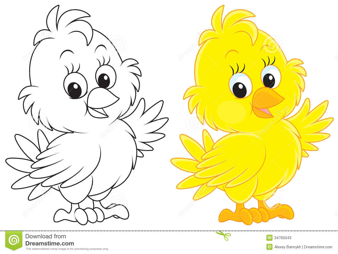 Little Yellow Chick Color And Black And White Outline Illustrations