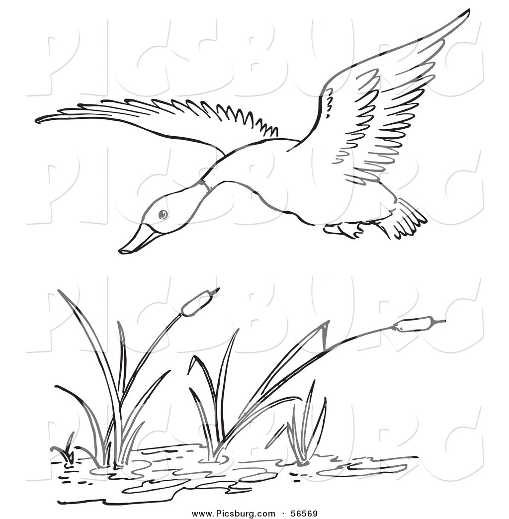 Duck Flying Over A Pond Black And White Line Art Black And White Retro