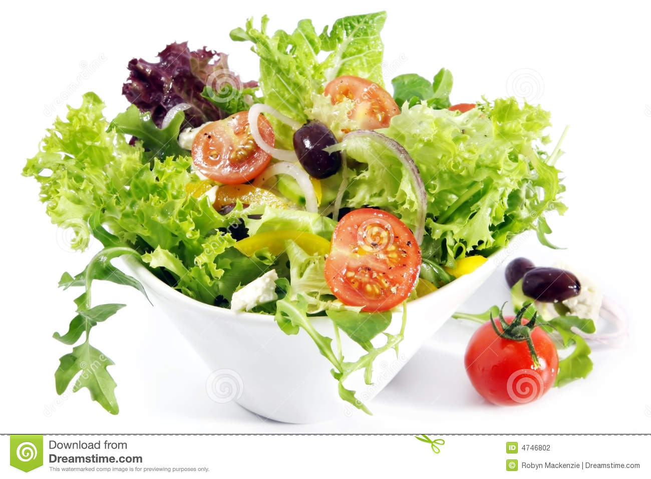Tossed Salad Stock Photography   Image  4746802
