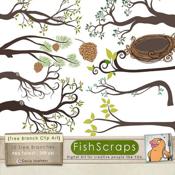 Branch Silhouettes Leaves   Branch Clipart Tree Branch Image   Bird