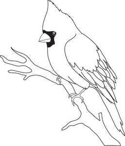 Cardinal Clipart Image   Black And White Bird Outline Showing A