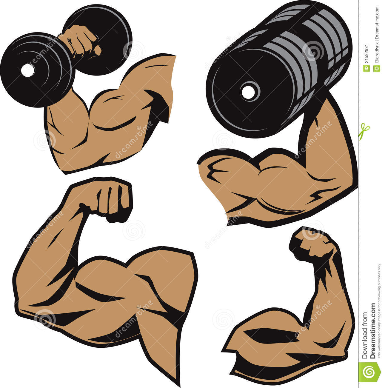 Clip Art Collection Of Muscular Weightlifter Arms