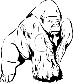 Gorilla Clipart Black And White   Clipart Panda   Free Clipart Images