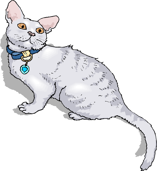 White Cat Looking Up Free Clipart   Free Microsoft Clipart