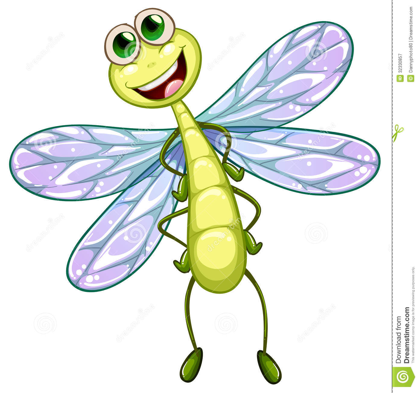 Smiling Dragonfly Royalty Free Stock Photography   Image  32330857